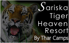 Sariska Tiger Heaven